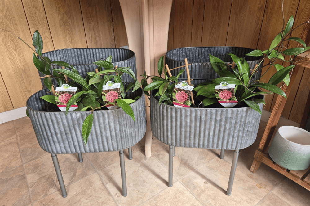 Planters