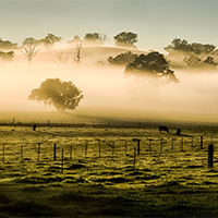 cowra shire