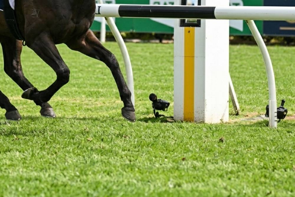 Boorowa Picnic Races