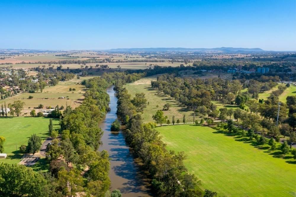 Cowra Spring Show